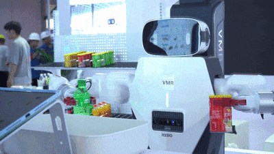 人形機(jī)器人